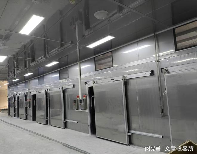 四川西部大旗干燥设备公司：蔬菜烘干房技术重塑农产品加工价值链